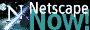 Netscape Logo